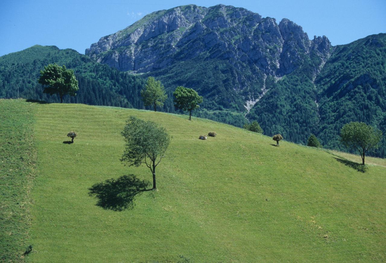 Albergo Belvedere كوليو المظهر الخارجي الصورة